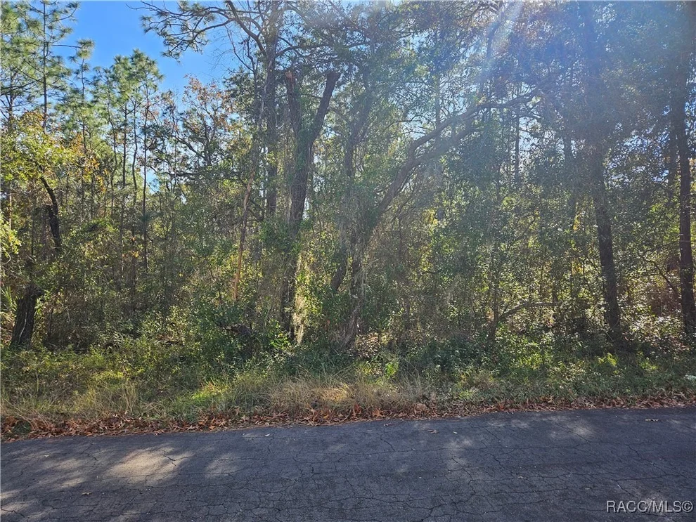 Unit for sale at 296 E Foster Court, Lecanto, FL 34461
