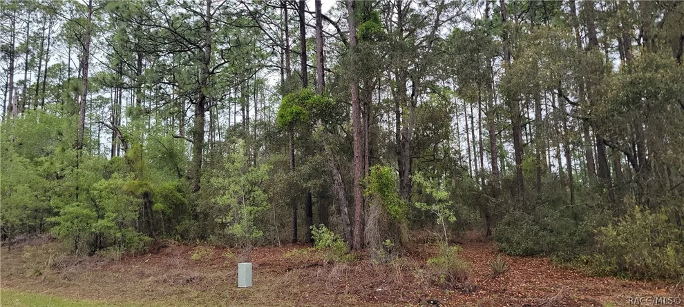 Unit for sale at 2851 W Higgins Place, Dunnellon, FL 34433