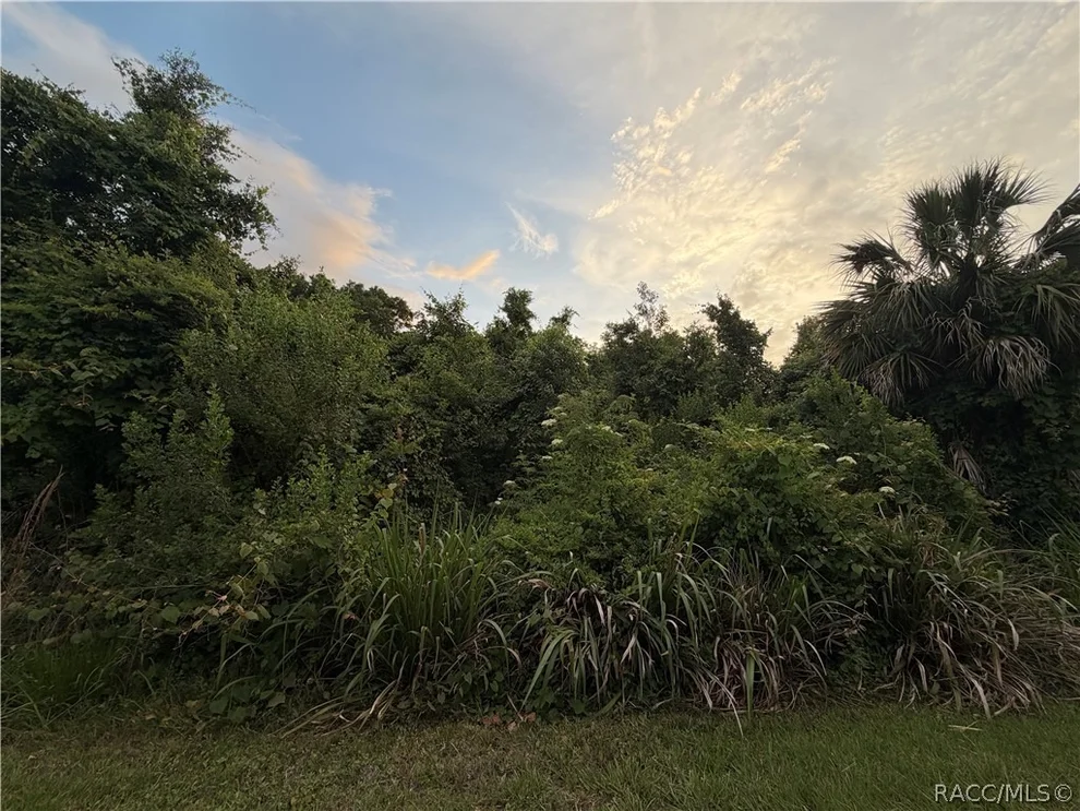 Unit for sale at 1062 N Fan Palm Point, Crystal River, FL 34429