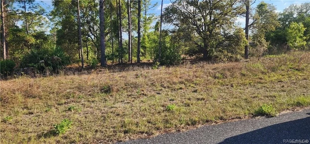 Unit for sale at 3420 W Hayward Lane, Citrus Springs, FL 34433