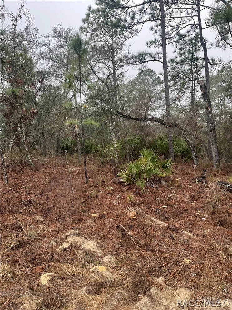 Unit for sale at 6692 N Airmont Drive, Dunnellon, FL 34433