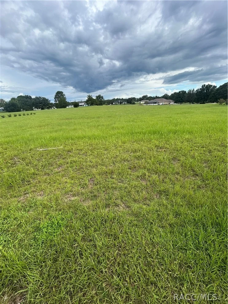 Unit for sale at 578 E Connecticut Lane, Hernando, FL 34442