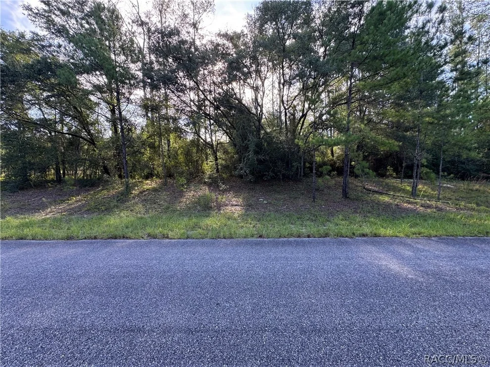 Unit for sale at 1273 E Toledo Drive, Citrus Springs, FL 34434