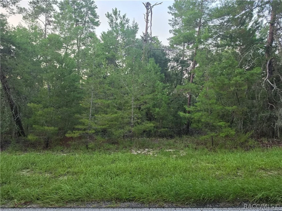 Unit for sale at 17 Oak Village Boulevard, Homosassa, FL 34446