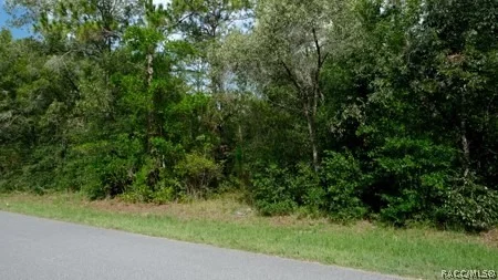 Unit for sale at 10554 N Haitian Drive, Citrus Springs, FL 34434