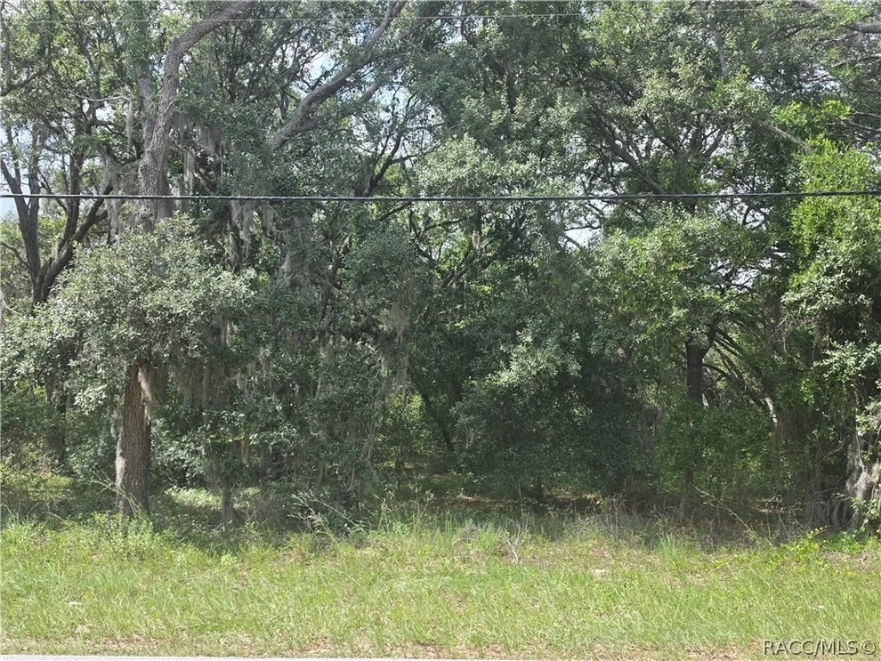 Unit for sale at 135 W Pearson Street, Hernando, FL 34442