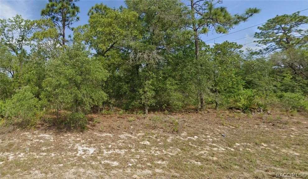 Unit for sale at 6791 N Darlington Drive, Citrus Springs, FL 34434
