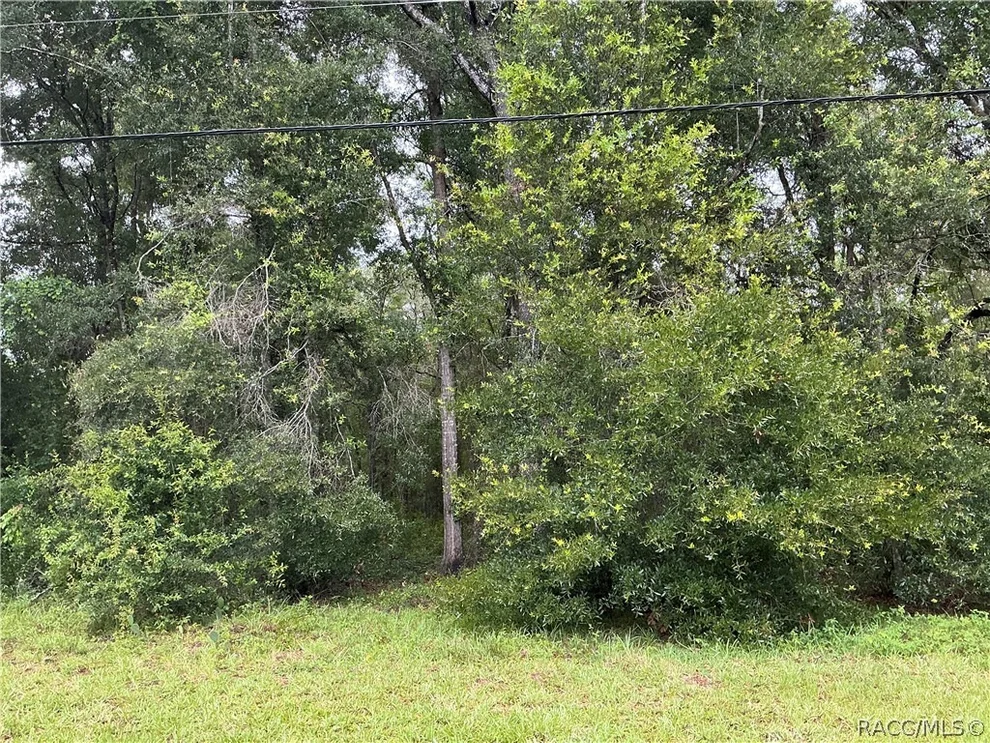 Unit for sale at 1235 E Bismark Street, Hernando, FL 34442