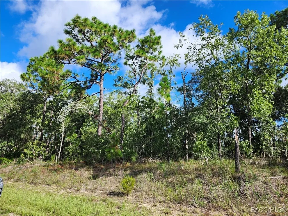 Unit for sale at 6741 N Darlington Drive, Dunnellon, FL 34434