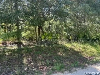 Unit for sale at 3234 AMPHIBIAN Point, Crystal River, FL 34428