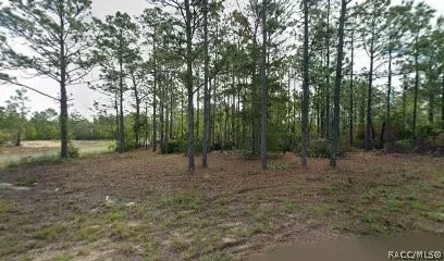Unit for sale at 10599 N Caldera Avenue, Dunnellon, FL 34433