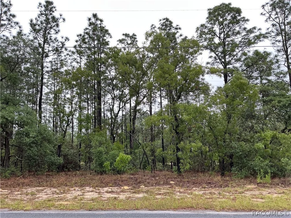 Unit for sale at 2905 W Sharpes Drive, Citrus Springs, FL 34433