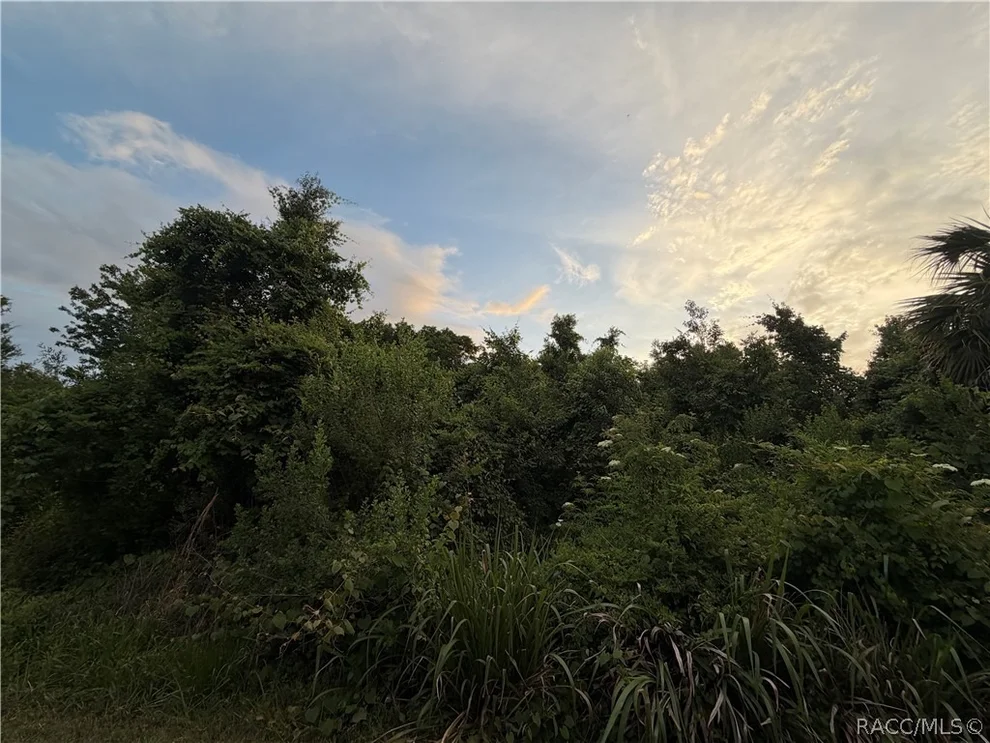 Unit for sale at 1089 N Fan Palm Point, Crystal River, FL 34429