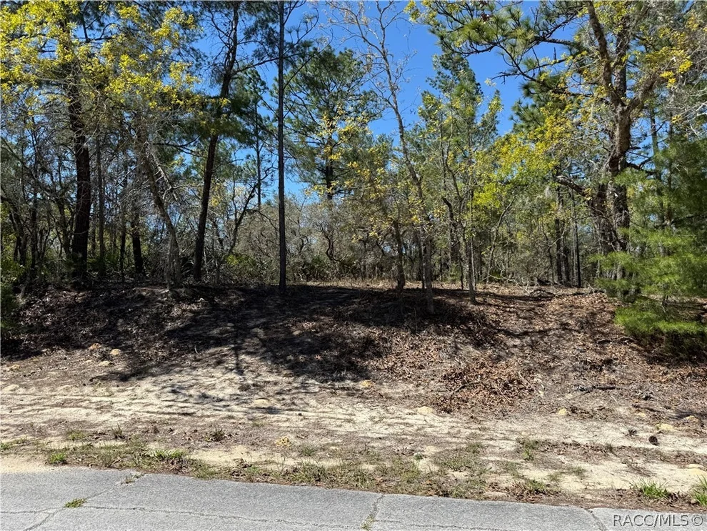 Unit for sale at 10776 N Moreno Drive, Dunnellon, FL 34433