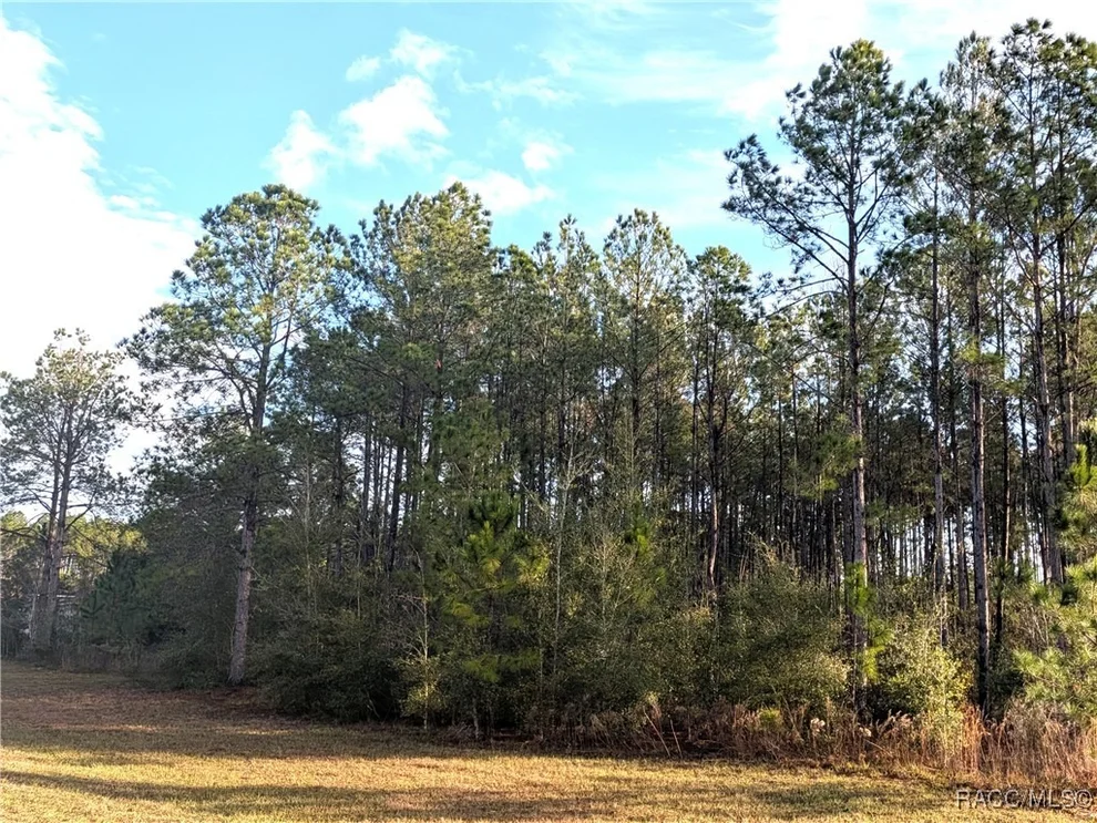 Unit for sale at 143 S Kensington Avenue, Lecanto, FL 34461