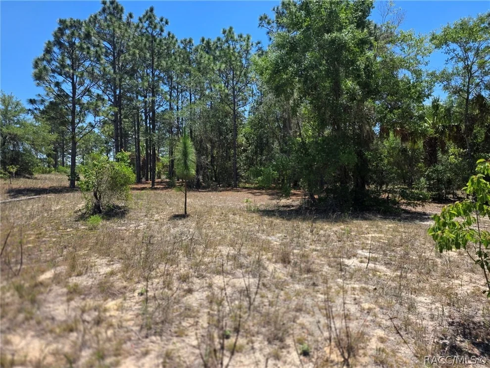 Unit for sale at 11837 N Captiva Terrace, Dunnellon, FL 34433