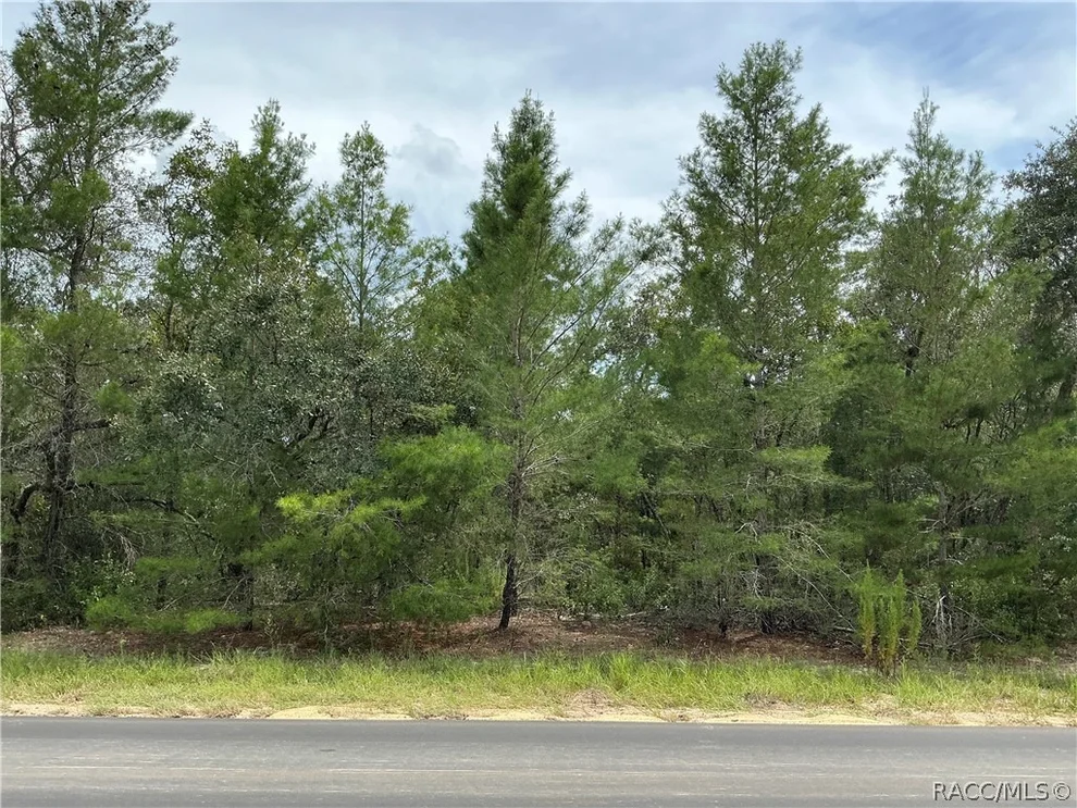 Unit for sale at 5054 W Deputy Drive, Beverly Hills, FL 34465