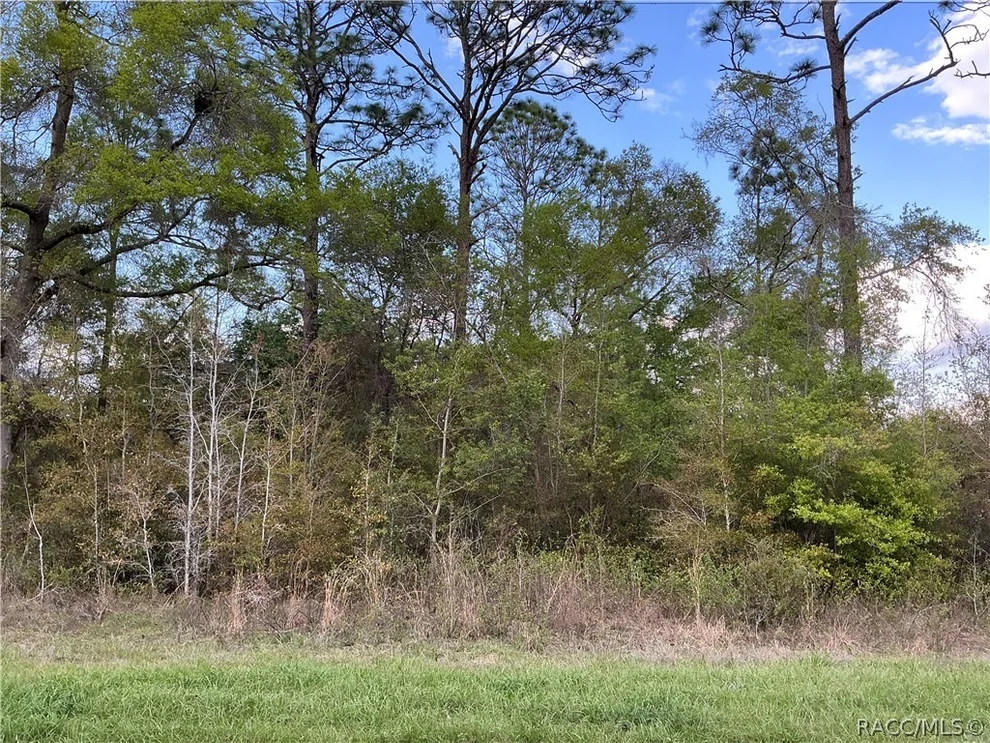 Unit for sale at 8749 N Upland Drive, Citrus Springs, FL 34434