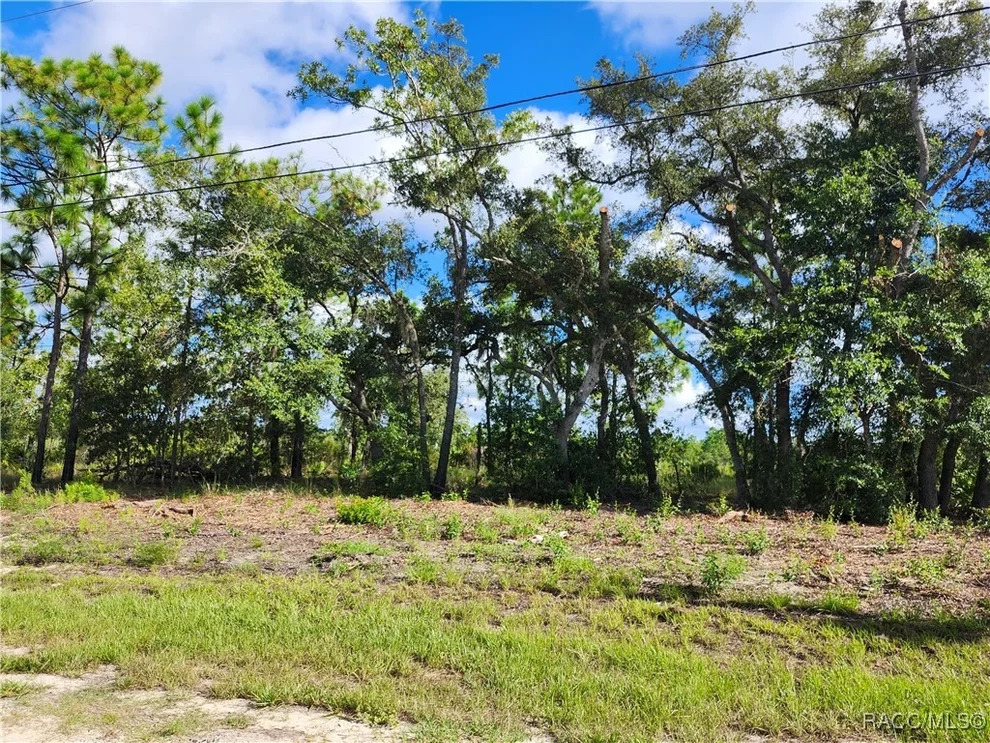 Unit for sale at 6715 N Darlington Drive, Dunnellon, FL 34434