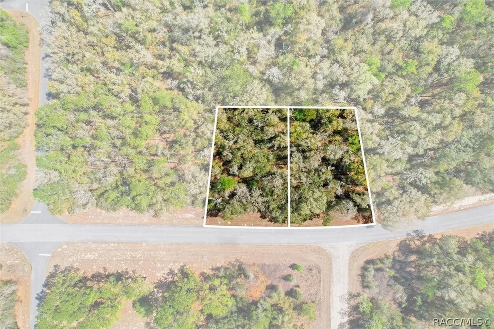Unit for sale at 8987 N Alameda Drive, Dunnellon, FL 34434