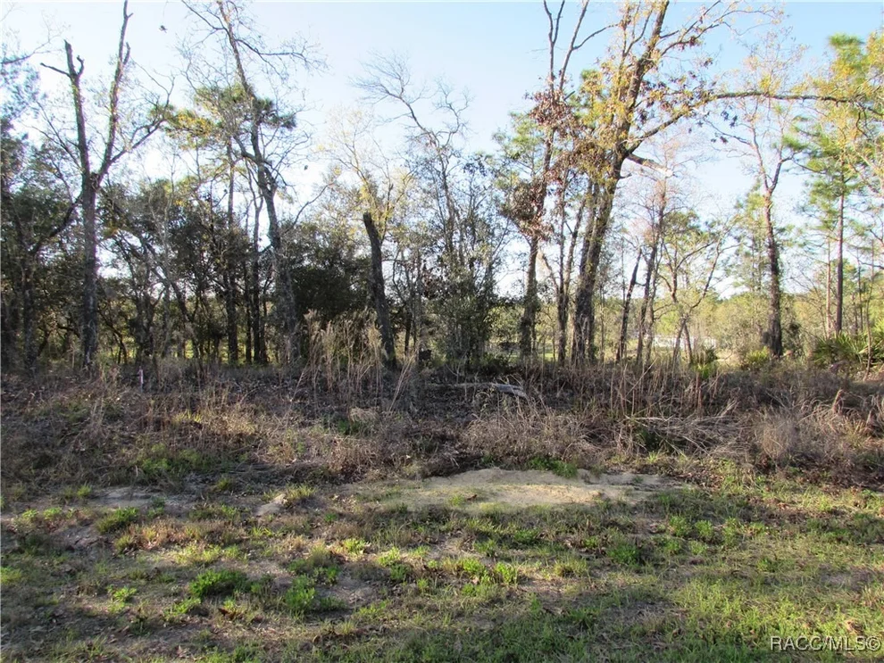 Unit for sale at 1255 W Nankeen Drive, Dunnellon, FL 34434
