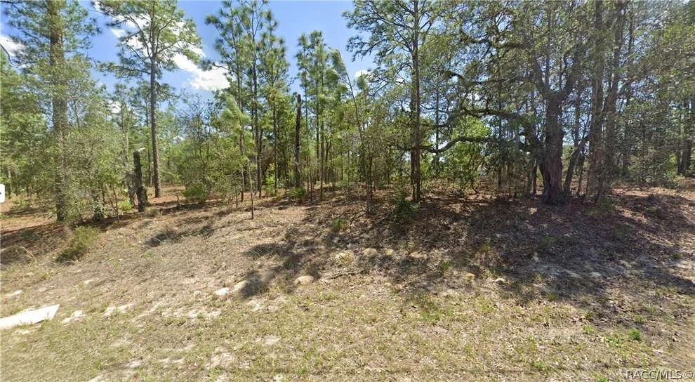 Unit for sale at 2551 W Sheila Drive, Citrus Springs, FL 34433