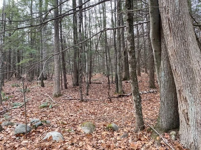 Unit for sale at Lt 55 Wendell Rd, New Salem, MA 01355