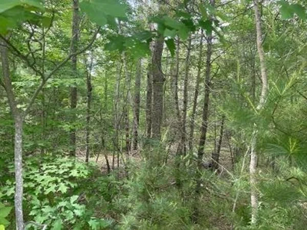 Unit for sale at 170 Elm Street, Hanson, MA 02341