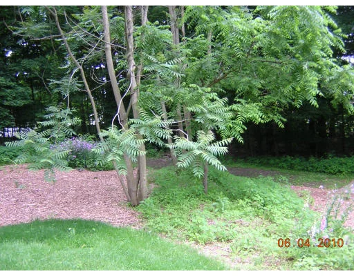 Unit for sale at 10 Huntington Avenue, Sharon, MA 02067