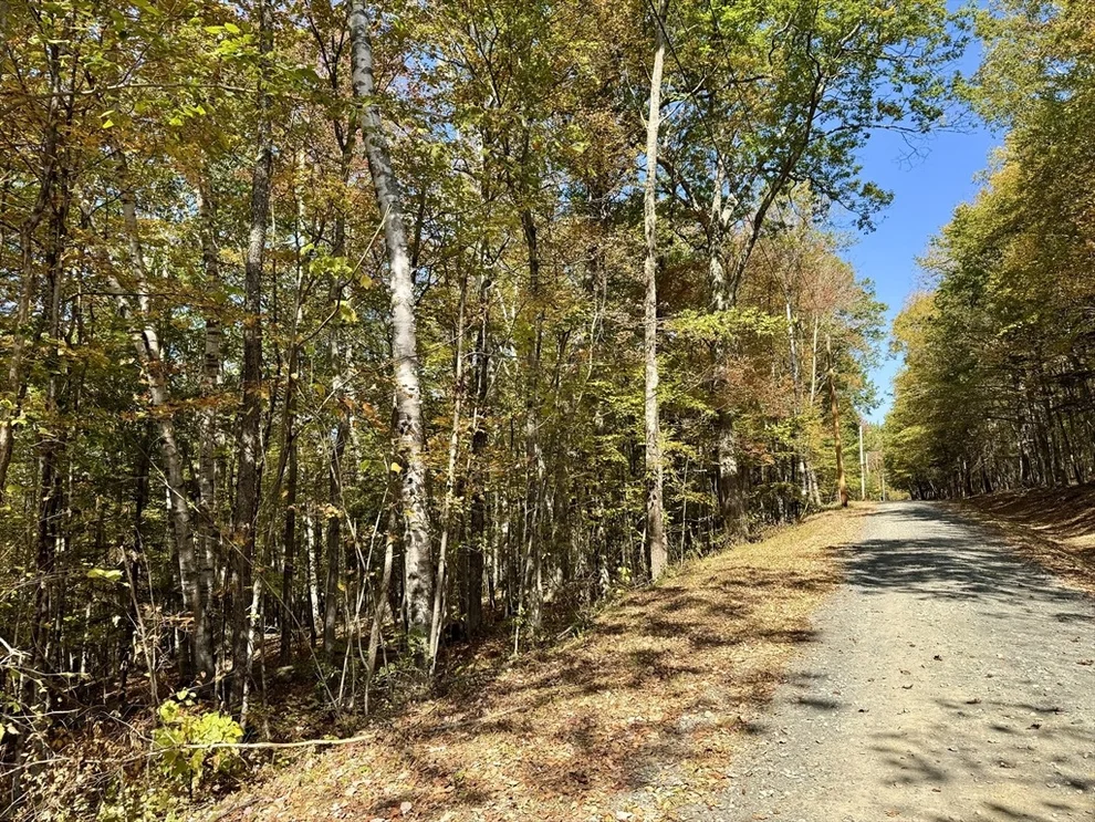 Unit for sale at 0 Potters Road Extension, Charlemont, MA 01339