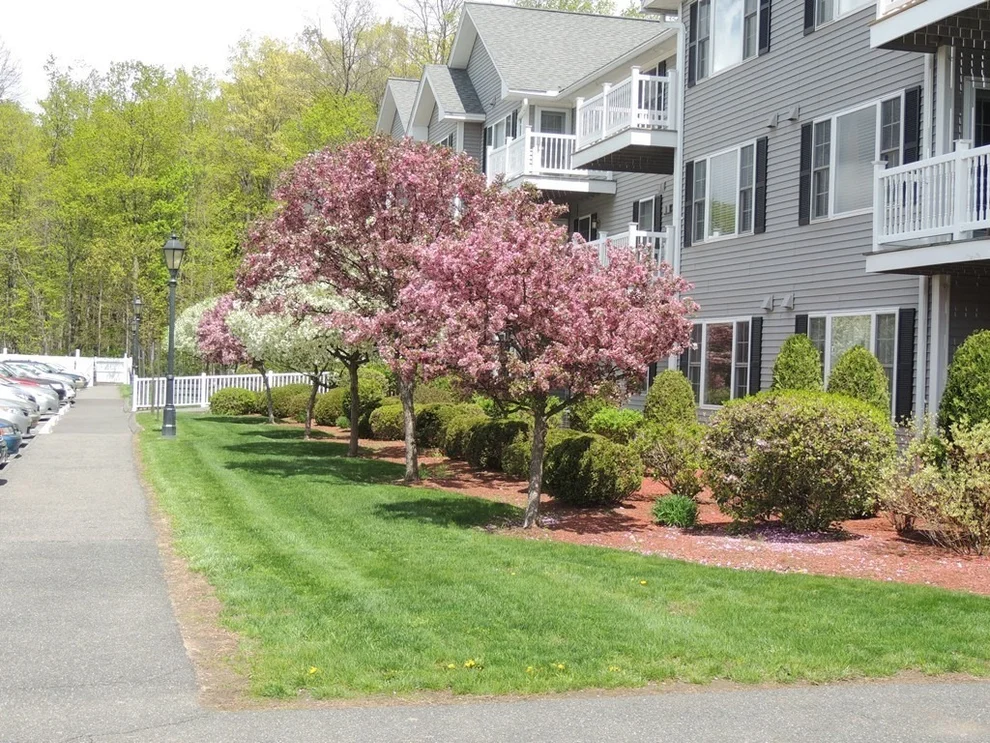 Unit for sale at 24 Greenleaves Drive, Amherst, MA 01002