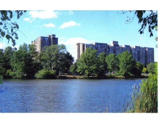 Unit for sale at 33 Pond Avenue, Brookline, MA 02445