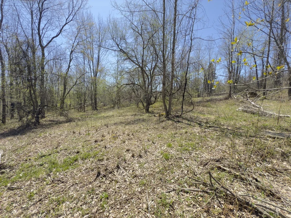 Unit for sale at 0 Mountain View Drive, Charlemont, MA 01339