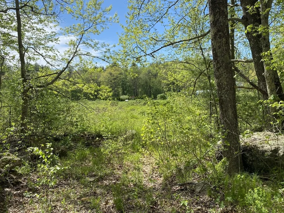 Unit for sale at lt3 West Rd, New Braintree, MA 01535