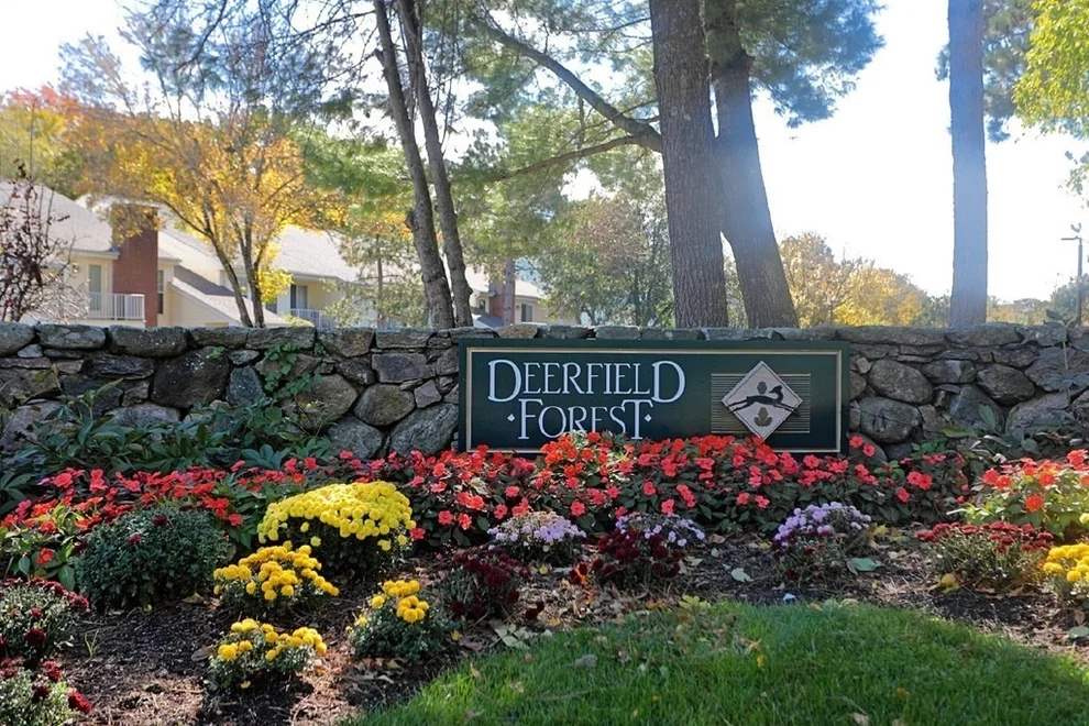 Unit for sale at 16 Walden Dr, Natick, MA 01760