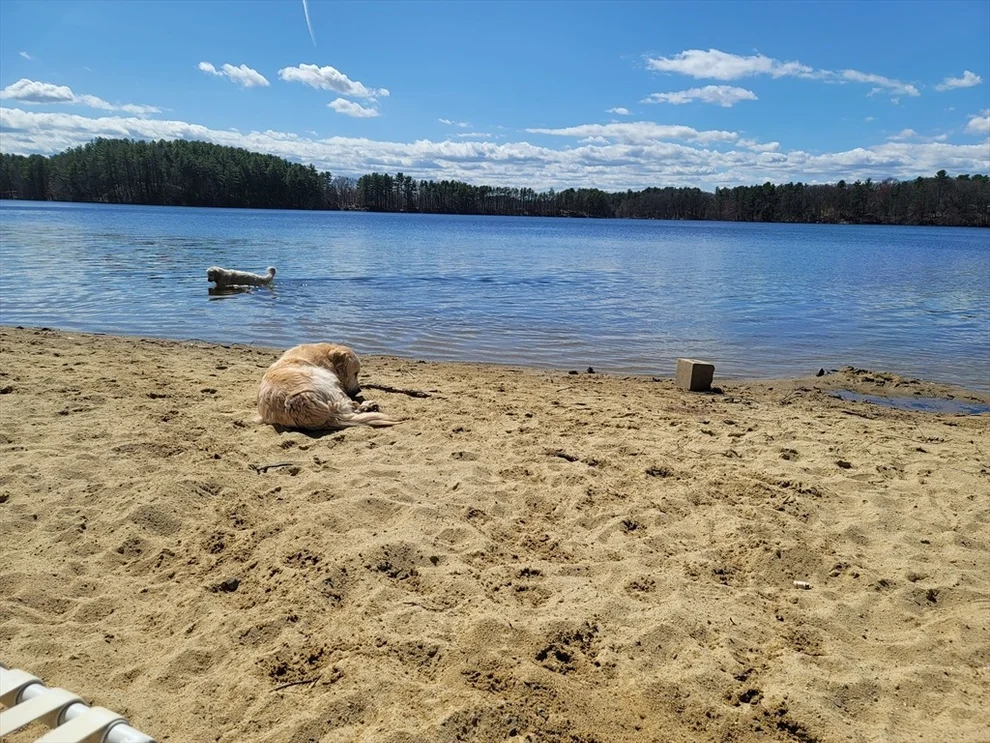 Unit for sale at 31-33 Mathews Dr, Wayland, MA 01778