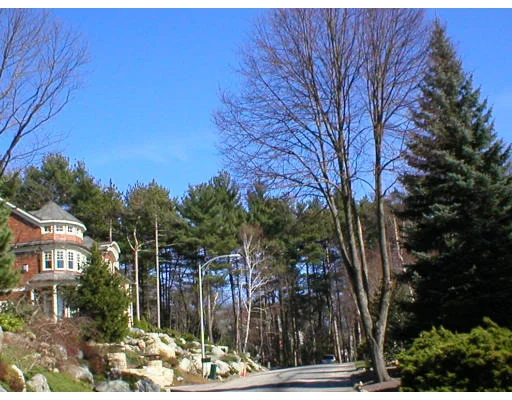 Unit for sale at Lot 7 Audubon Lane, Belmont, MA 02478