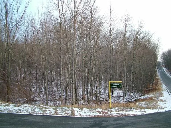 Unit for sale at 333 Ranney Corner Rd, Ashfield, MA 01330
