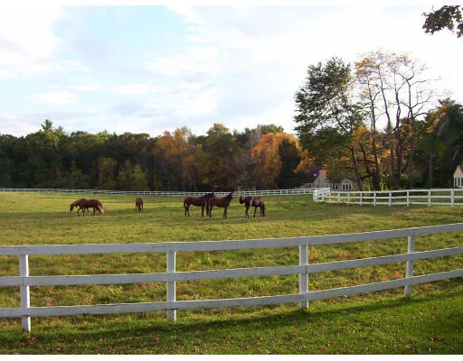 Unit for sale at 10 Emery Rd., Bedford, MA 01730