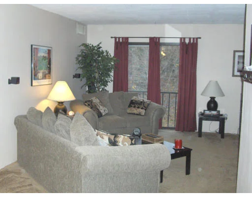 Unit for sale at 51 Village Brook Ln, Natick, MA 01760