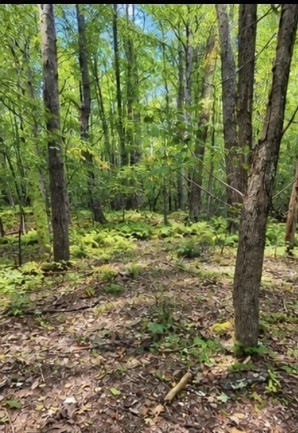 Unit for sale at Lot 10A Bush Hill Road, Ashburnham, MA 01430