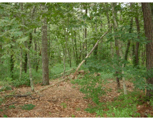 Unit for sale at 7 Boldt Farms Way, Edgartown, MA 02539