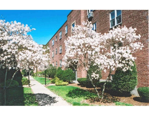 Unit for sale at 45 Colborne Rd, Boston, MA 02135