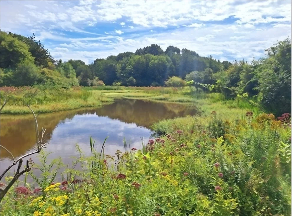 Unit for sale at 98 Choate St, Essex, MA 01929