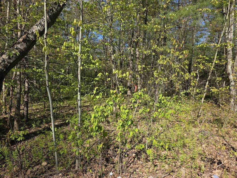 Unit for sale at lot 14 West St, Ludlow, MA 01056