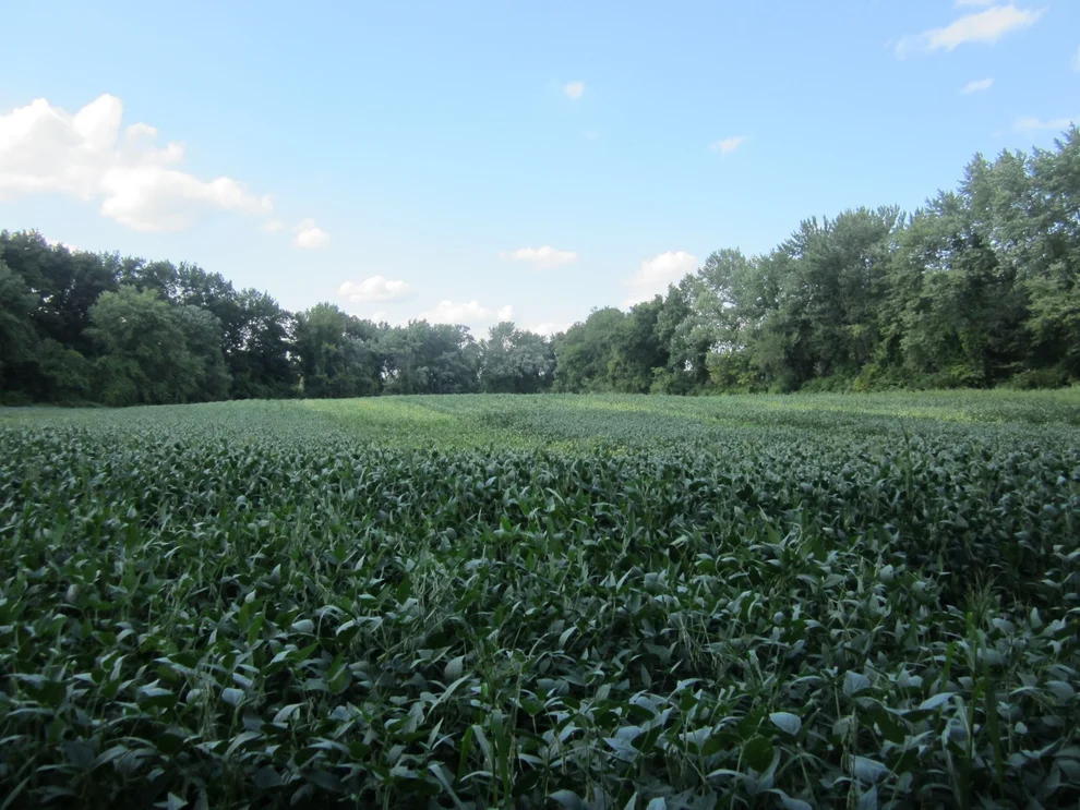 Unit for sale at 0 Little River Road ( Rear ), Westfield, MA 01085