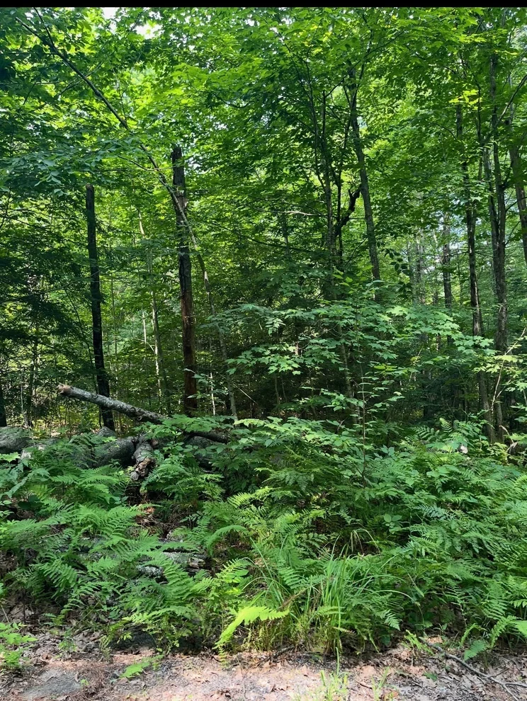 Unit for sale at 0 Laurel Lake Road, Royalston, MA 01368