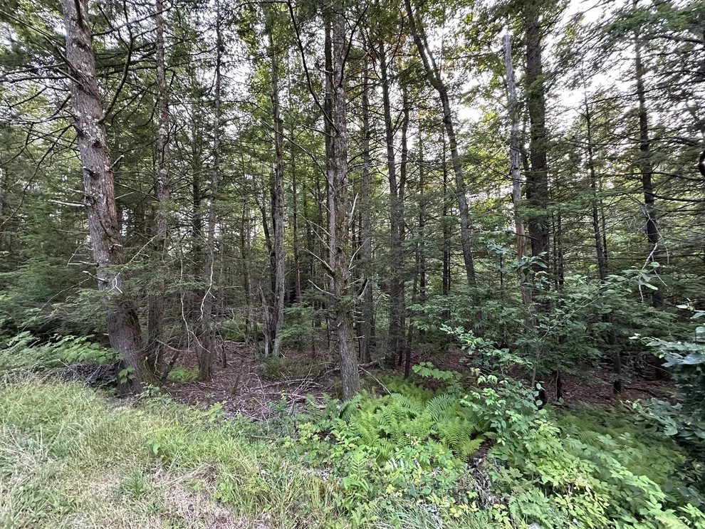 Unit for sale at 0 Shaw Road, Cummington, MA 01026