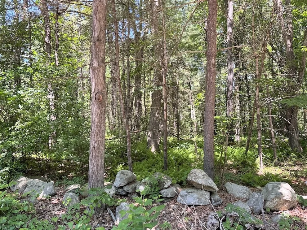 Unit for sale at 19 Whitney, Berlin, MA 01503
