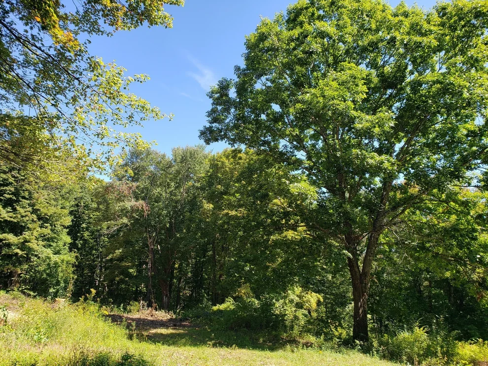 Unit for sale at 0 Harlow Clark Rd., Huntington, MA 01050